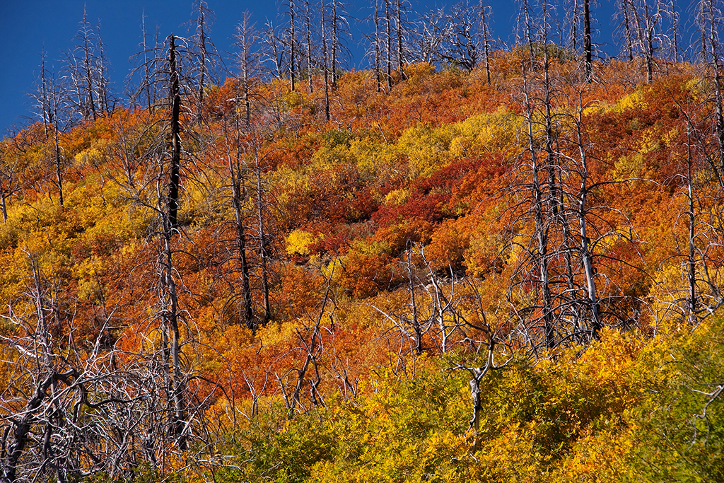 17_Mesa Verde National Park_3.jpg